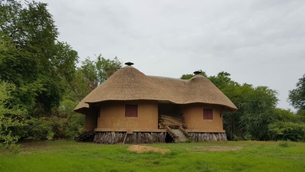 Immersion dans le parc de Zakouma – Image 2